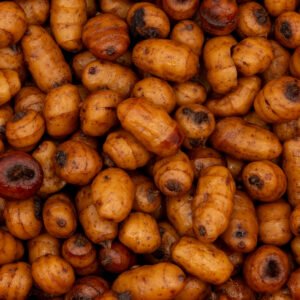 Tigernuts XXL Préparées