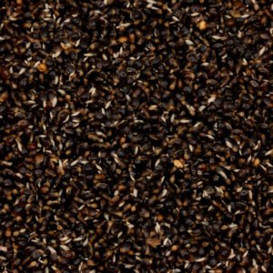 Chènevis Préparés