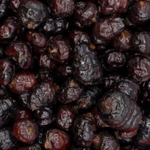 Black Tigernuts XXL Préparées