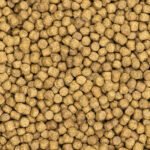 Descendre en luminosité, à la base c'est un pellet qui est légèrement verdâtre.