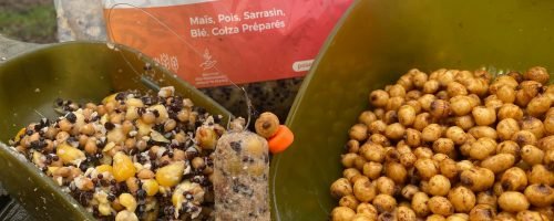 480483537_610747348376403_5394128661191907546_n